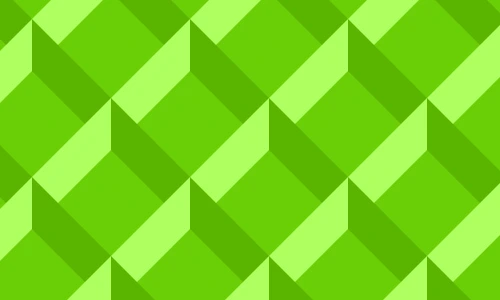 Custom Software with Machine Learning Integration